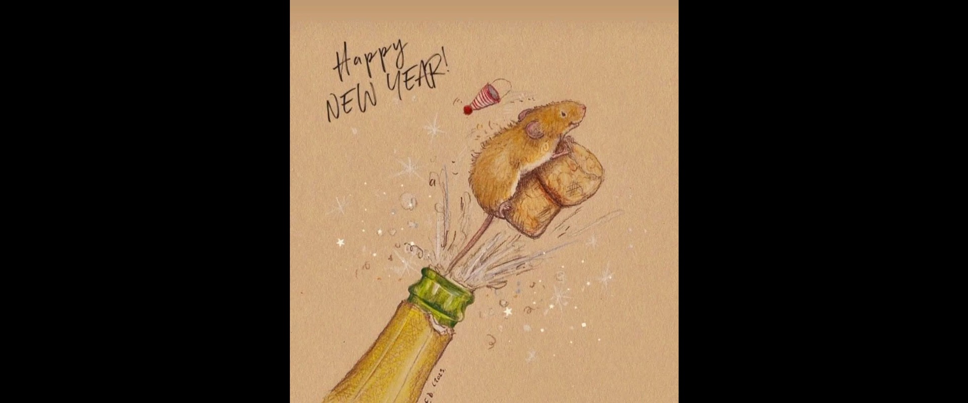 Happy New Year from our AZBO Family to yours!!