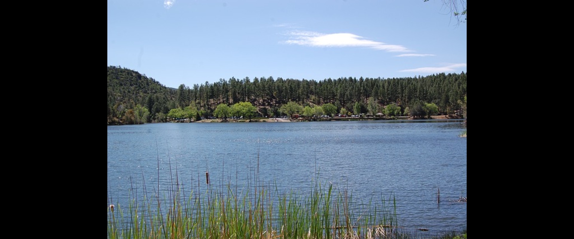 AZBO SPRING Institute 2024